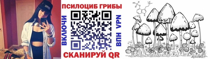 Псилоцибиновые грибы мицелий  ОМГ ОМГ ССЫЛКА  Сегежа 